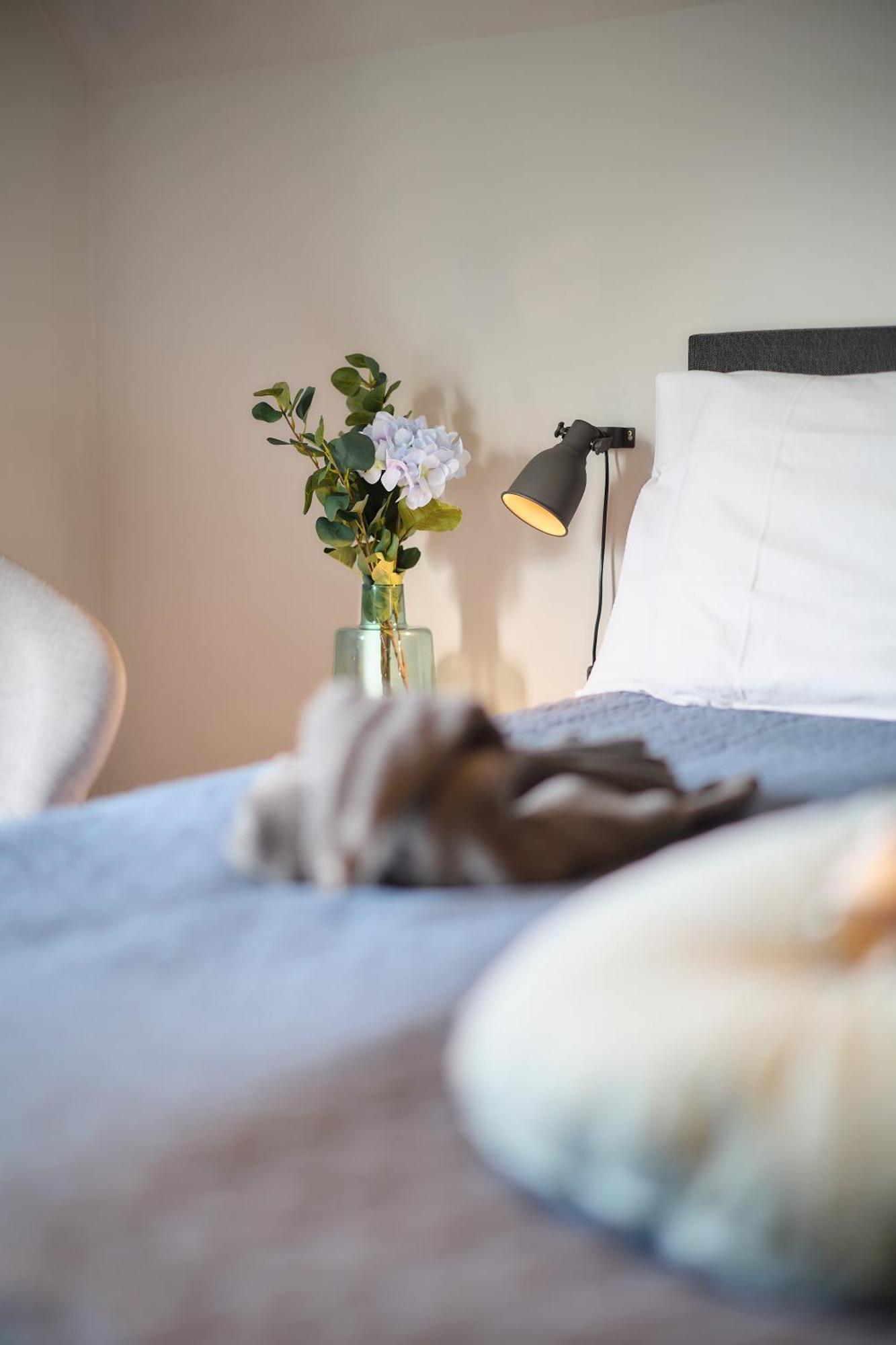 Villa Cecha B&B &Wellness Oostende Bagian luar foto