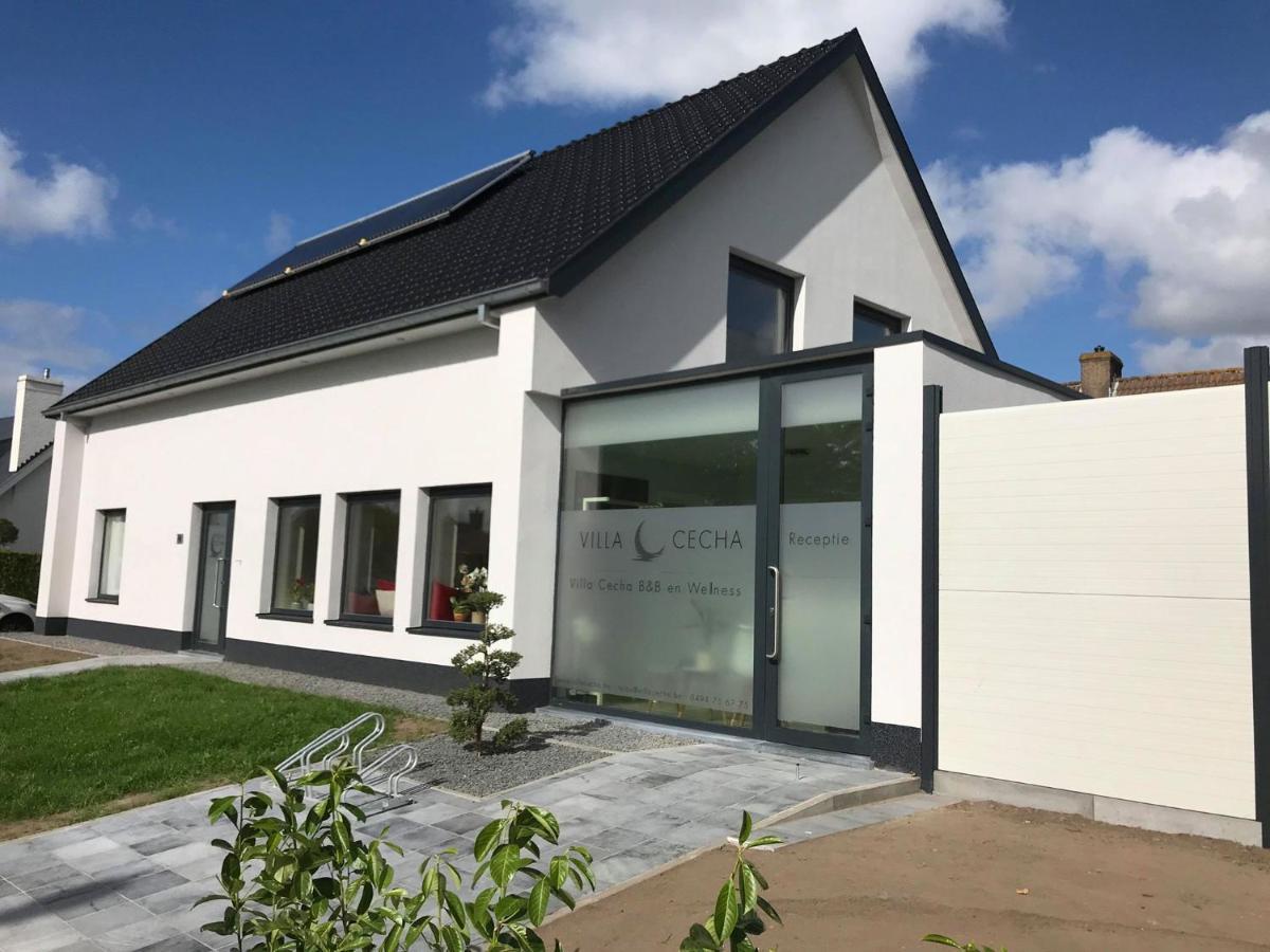 Villa Cecha B&B &Wellness Oostende Bagian luar foto